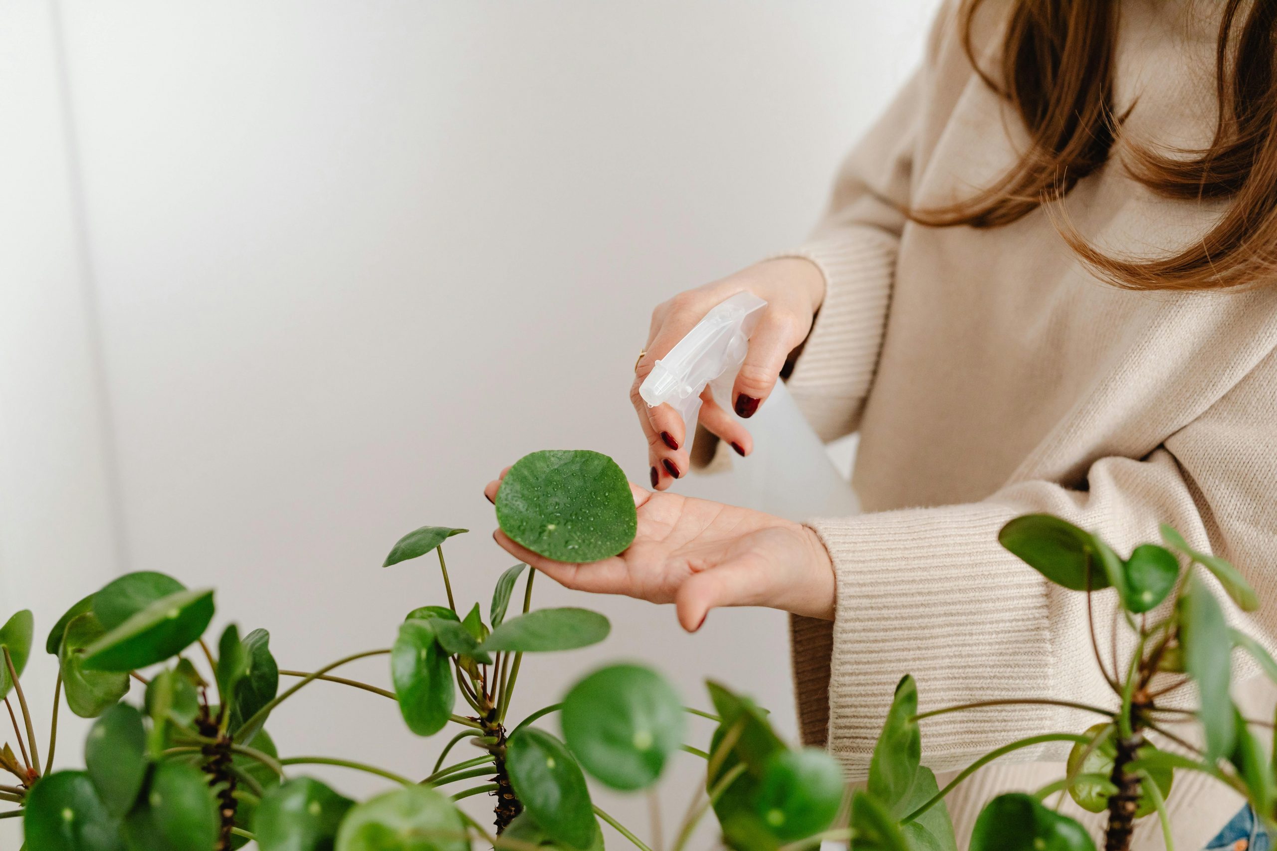 A woman spraying water on indoor plants
